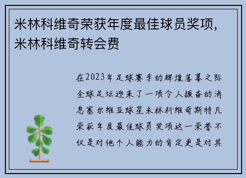 米林科维奇荣获年度最佳球员奖项，米林科维奇转会费