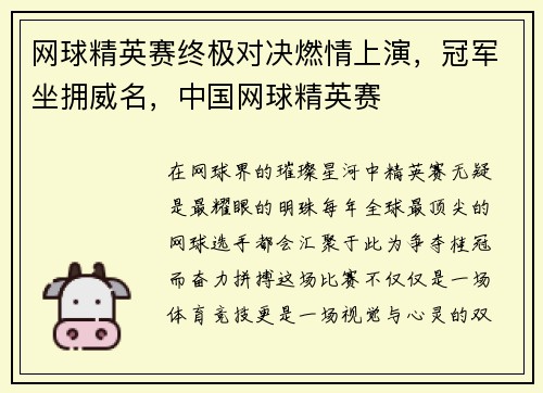 网球精英赛终极对决燃情上演，冠军坐拥威名，中国网球精英赛